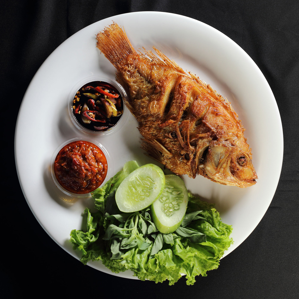 Photo and Design Menu image gallery